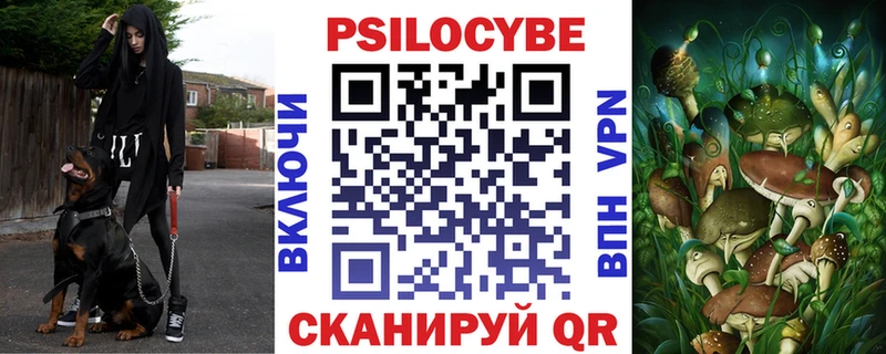 Купить закладки  Павлово  Галлюциногенные грибы Cubensis 
